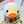 natu12240101