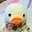 natu12240101