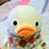 natu12240101