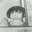 りえっP