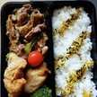 にんもももに