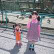 りんらん2008