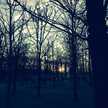 tomomir