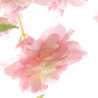 しろつめの花