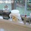 しーちゃん.com