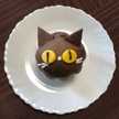 ocyappy