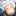 かづこう