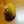さとぐまさん