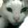 ulysses012000 ulysses012000