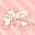 クック4AABP9☆