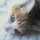 ciao_peach ciao_peach