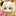 ・ω・ฅRainyฅ ・ω・ฅRainyฅ