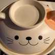 ねこいずむ