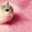 ぬーう