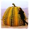 jolybee