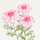 RosyPosy29 RosyPosy29