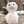 ori_r