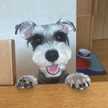 あんこあずき！