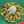 クックKANANo☆