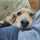 may♪dog