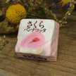 さくらパンナコッタ
