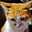 ねこもふもふ攻撃