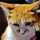 ねこもふもふ攻撃