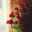 hohoko_h