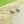 みかんsan35