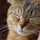 Katze2525 Katze2525