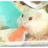 moko☆なちみ