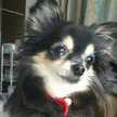 りっちゃんママ☆