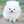 （n・A・o）