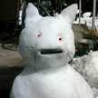 sakura猫