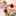 ゆってぃ★☆ ゆってぃ★☆