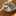 まろん1234 まろん1234