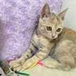 ♥♥coco♥♥