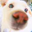 hachic0n