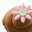 Rinochoco