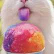 milmilch