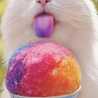 milmilch