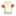 Msケチャップ Msケチャップ