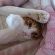 ☆kanantan★