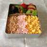 hanna_s