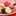 aikuma