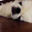 ももぱん♥︎