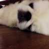 ももぱん♥︎