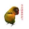 はにむん03