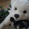 大きなクマさん