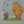 ♪Pooh♪